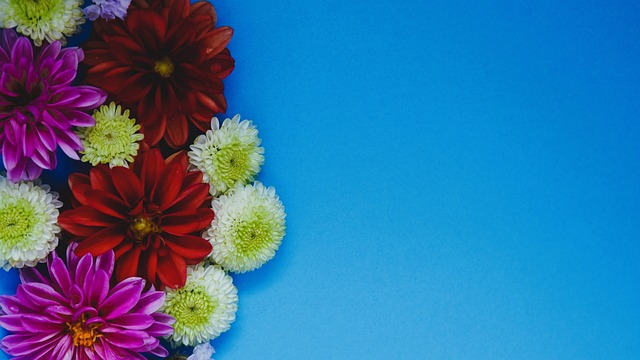 比萨主场0比1负帕尔马，吉拉迪诺执教首败