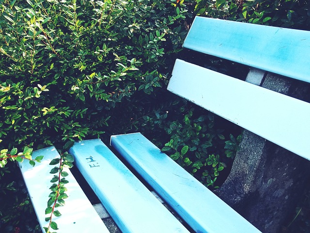 除了哲凯赖什，阿森纳的两位法国名宿该叫什么？